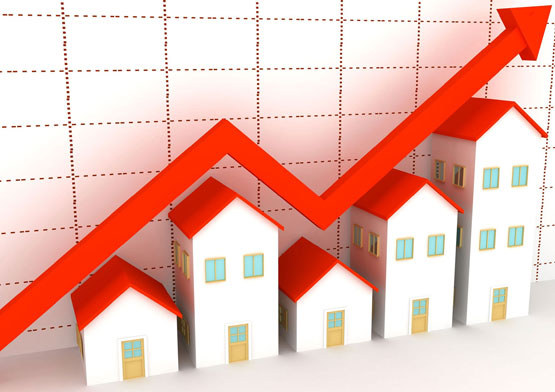 S-widodo.com Digital Marekting