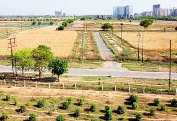 Industrial Plot
